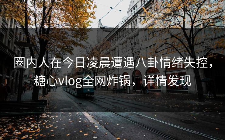 圈内人在今日凌晨遭遇八卦情绪失控，糖心vlog全网炸锅，详情发现