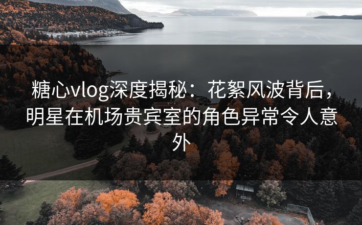 糖心vlog深度揭秘：花絮风波背后，明星在机场贵宾室的角色异常令人意外